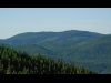 Onion Ridge