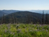 Rocky Mountain