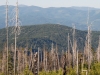 Huckleberry Ridge