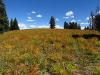Flagpole Mountain