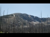 Old Baldy