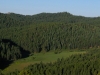 Rules Hill
