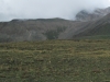 West Dyer Mountain