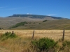 Flat Top