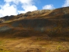 Green Mountain