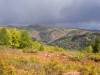 White Pine Peak