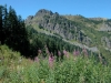 Kelly Butte