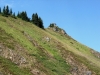 Evergreen Mountain