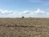 Tepee Benchmark
