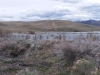 Gray Hills