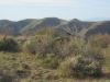 Diamond Ridge