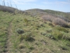 Diamond Ridge