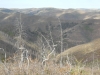Little Creek Ridge, South