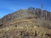 Raspberry Peak