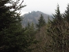Lyn Lowry, Mount