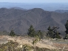 Green Knob