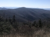 Blackstock Knob