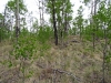 McClelland Mountain
