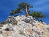 Crystal Peak