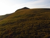 Delano Peak