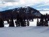 Timber Mountain