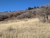 Pumphouse Hill