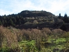 Pine Mountain