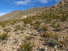 Goat Ridge
