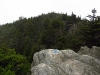 Grandfather Mountain