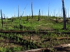 11083