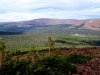 "Wooley Peak"