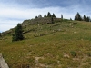 Welba, Mount