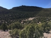 Kings Point