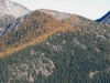 "Larchy Mountain"