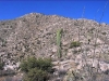 Newman Peak