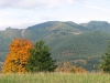 Davis Peak