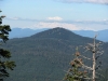 Timbered Peak