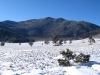 Badger Mountain