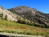 Rose, Mount
