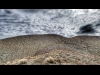 "Teton Ridge"