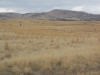 Jericho Ridge