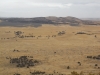 Jericho Ridge