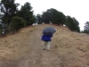 Nickols Knob