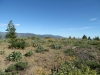 Buck Mountain