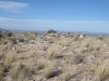 Red Mountain