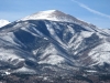 Wulsten Baldy