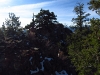 Moseley Ridge