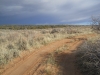 Calf Pasture Point
