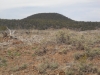 Black Knoll