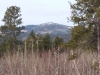 Terry Peak
